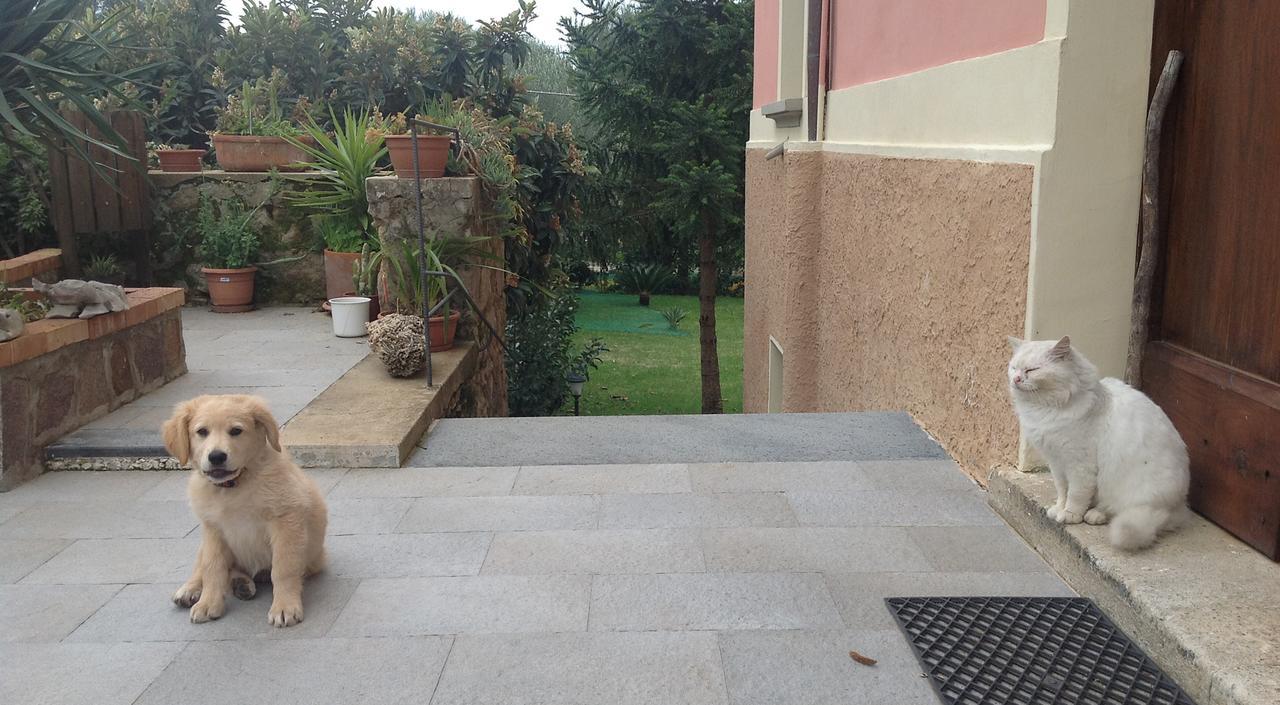 Villa Vincenza Vallo della Lucania Kültér fotó