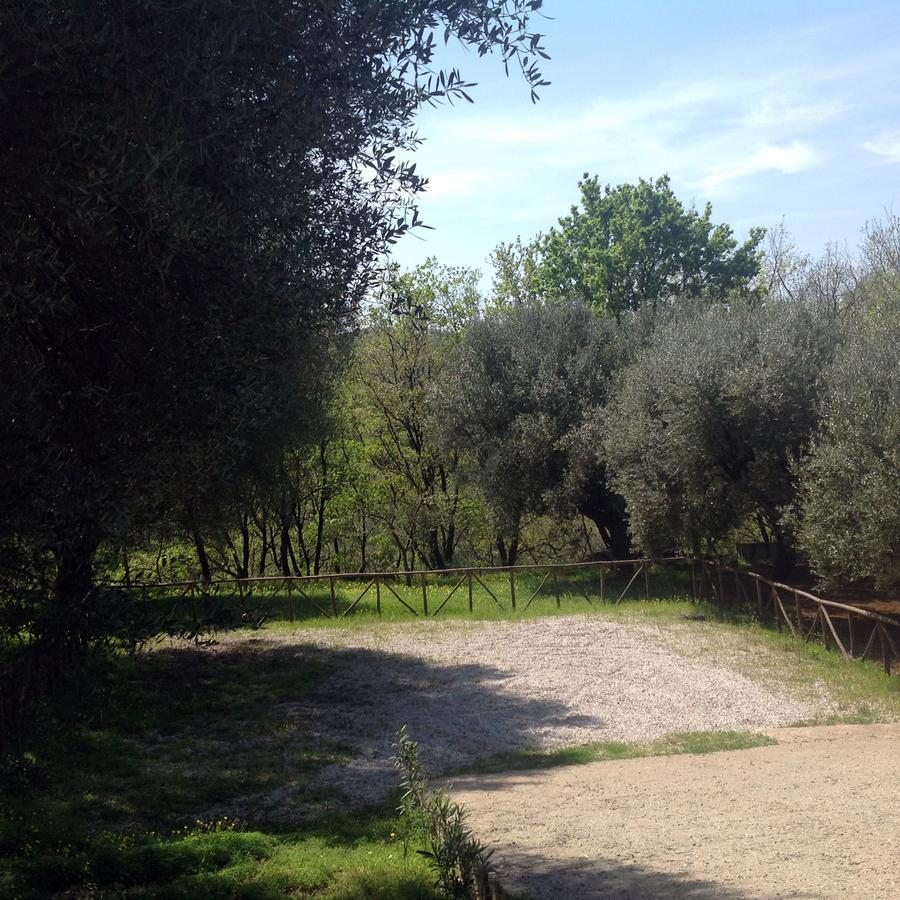 Villa Vincenza Vallo della Lucania Kültér fotó