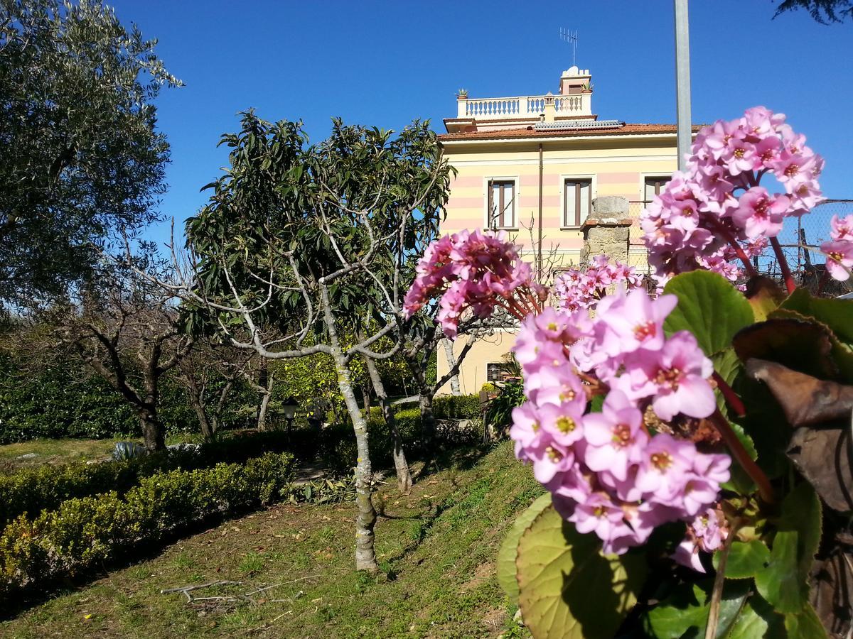 Villa Vincenza Vallo della Lucania Kültér fotó